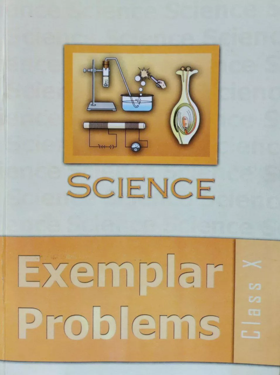 Science exemplar problems class 10 english paperback unknown 